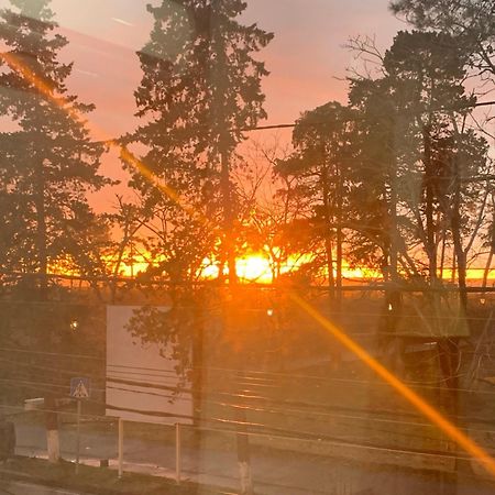 Golden Lion Hotel Kobuleti Bagian luar foto